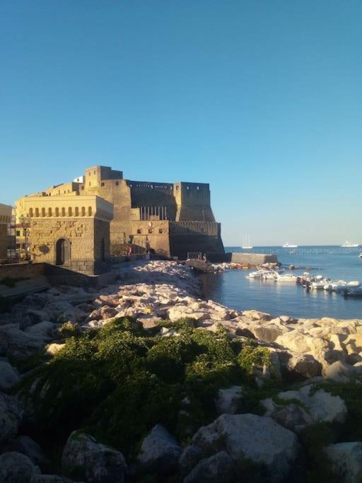 Di Enrico